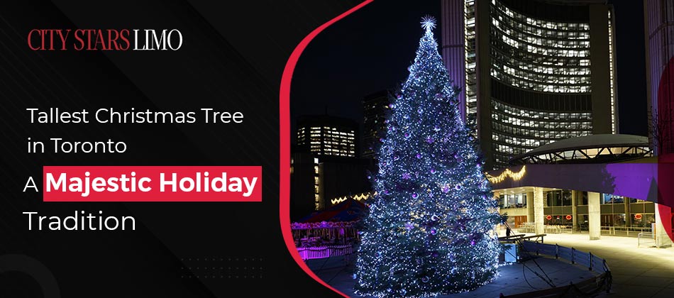 Tallest Christmas Tree in Toronto: A Majestic Holiday Tradition